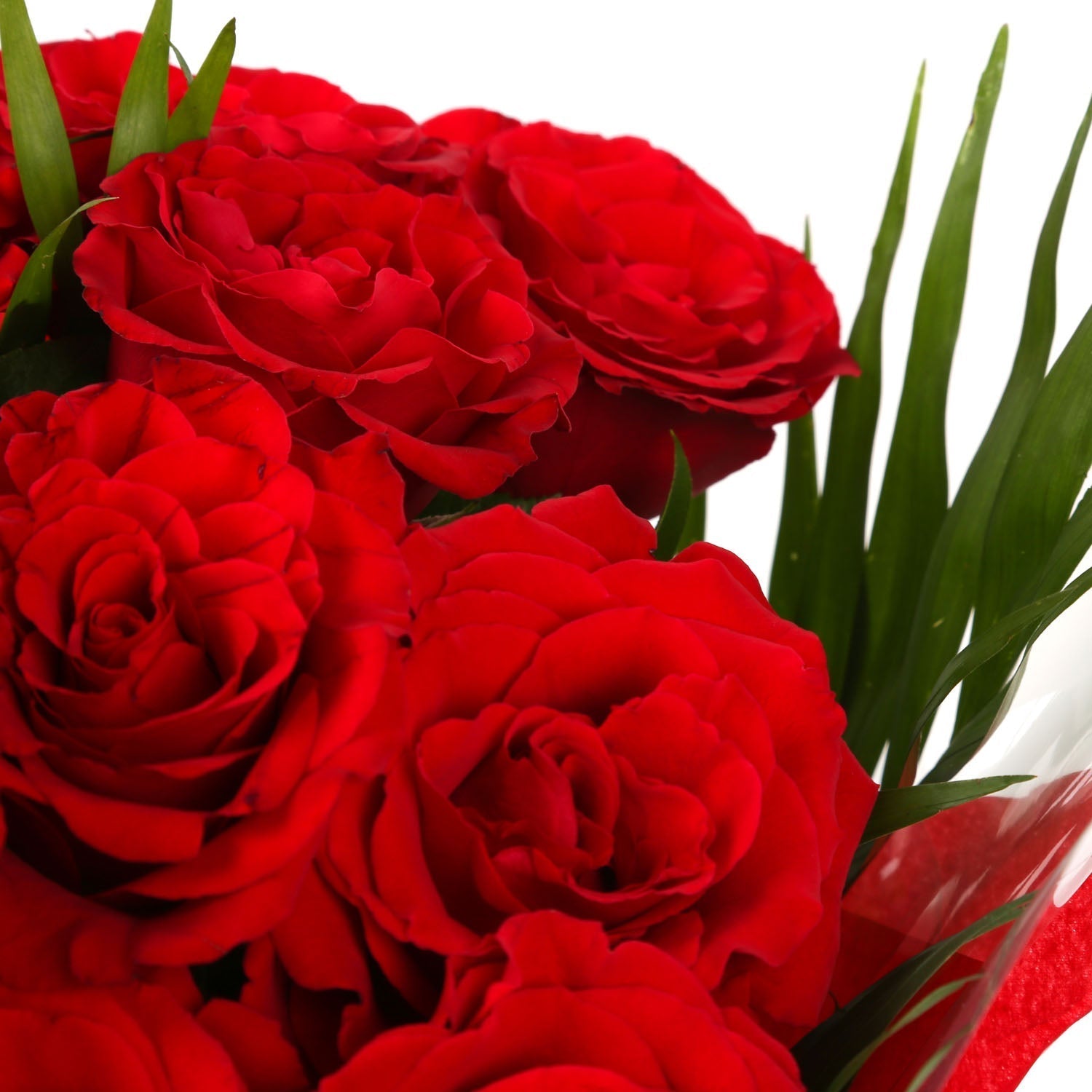 Sträuße aus roten Rosen